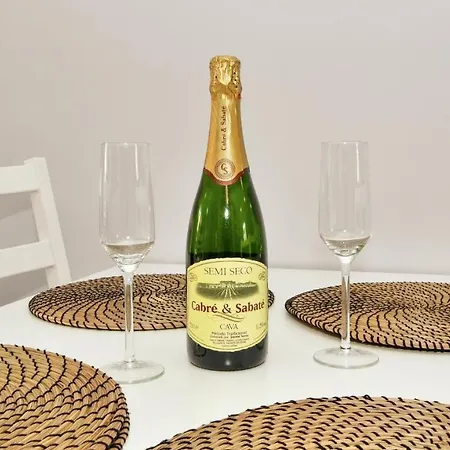 La Recoleta 公寓 托雷维耶哈